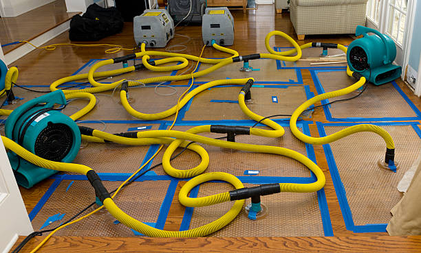 Professional Crawl Space Water Removal technician working in Wauseon, OH